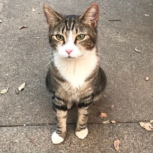 Meet your Posher, Lea